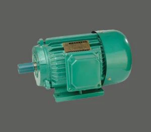 AC Y-2 2Hp Endiksyon Motè Pou Ponp