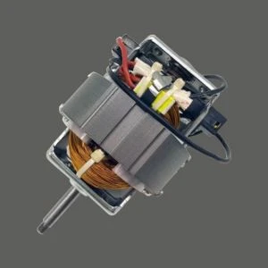 120V Juicer motè