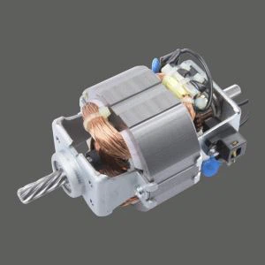 AC 220V Papye brwayeur motè ak pouvwa segondè