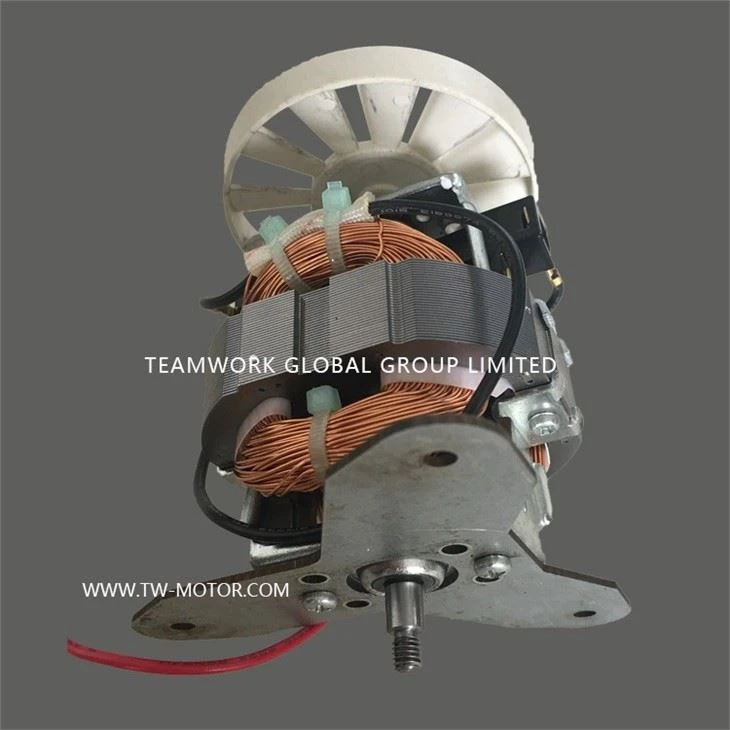 Grinder Motor 54