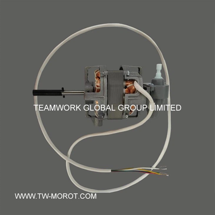 Special Vertical Fan Motor