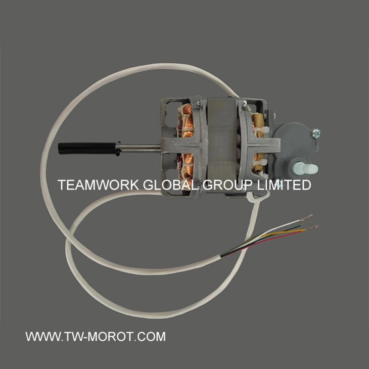 Special Vertical Fan Motor